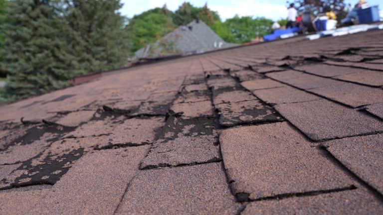 Best 4 Ply Roofing  in Phoenix Lake, CA